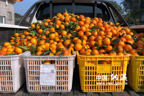 農(nóng)產(chǎn)品合格證 守護(hù)百姓舌尖安全的重要防線