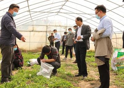 中牟縣試行食用農(nóng)產(chǎn)品合格證制度 守護(hù)舌尖安全，推動(dòng)產(chǎn)業(yè)升級(jí)