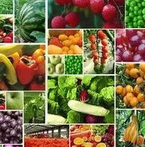 食藥監(jiān)總局 堅(jiān)持問題導(dǎo)向，加大食品農(nóng)獸藥殘留治理力度，保障食用農(nóng)產(chǎn)品安全