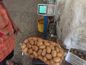 金鼎商貿(mào)城食用農(nóng)產(chǎn)品快檢結(jié)果公示